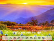 蝶繡軟裝?將自然搬進(jìn)家 詮釋色彩美學(xué)