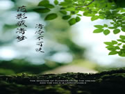 【領(lǐng)繡】 花影蔽清夢，清冷不可及