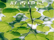 【領(lǐng)繡·菁華】清麗脫俗的寶藏空間，輕奢格調(diào)遇見不凡