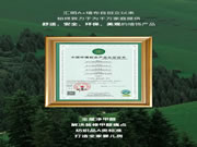 匯明A+墻布315鉅惠速遞｜千元墻布免費貼，多重好禮拿到手軟！