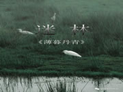 【領(lǐng)繡】《薄暮丹青》| 迷林 景色的四季流轉(zhuǎn)