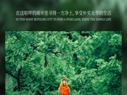 【領(lǐng)繡·菁華】光和森林系列 | 回到原始森林，來(lái)一場(chǎng)熱帶旅行