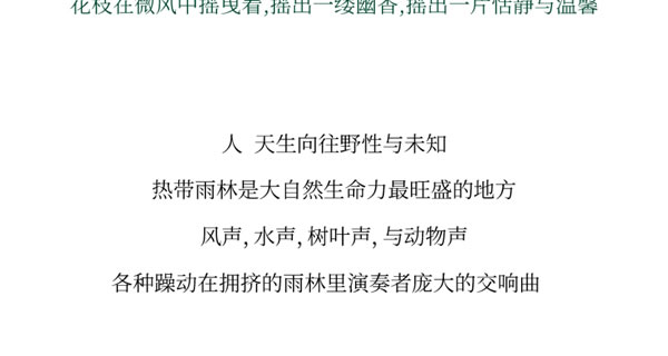 【領(lǐng)繡·菁華】光和森林系列 | 回到原始森林，來一場熱帶旅行
