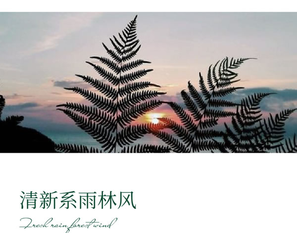 【領(lǐng)繡·菁華】光和森林系列 | 回到原始森林，來一場熱帶旅行