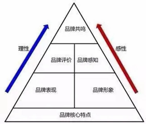花枝才能招展 軟裝大咖艾仕聚