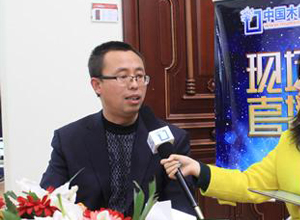 寶珠家具木門全屋制定方案，線上線下兩手抓