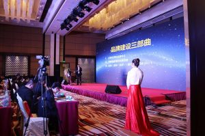 2017年全國市場、工程木門企業(yè)產(chǎn)品質(zhì)量、售后服務(wù)雙承諾活動(dòng)