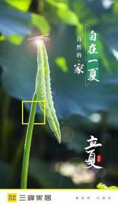 三峰木門(mén)立夏節(jié)氣圖